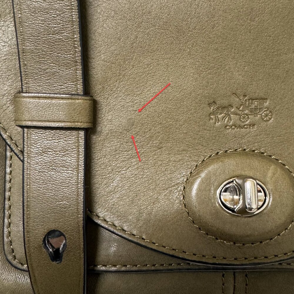 COACH Bleecker Python Mini Messenger Sv/Natural Olive - Picture 15 of 16